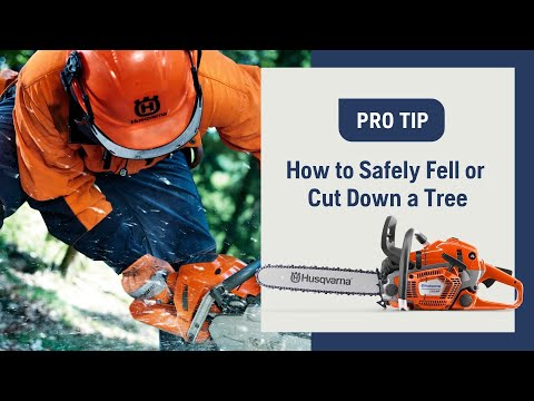 How to Fell or Cut Down a Tree Using a Chainsaw