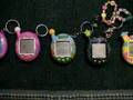 Tamagotchi Collection