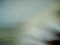 videos de me f***ing up a hotel