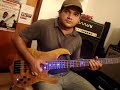 Sj Guitars