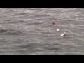 Se hvordan man fsker ørred i sverige ;-)