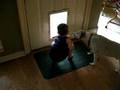 Ethan playing with dogs