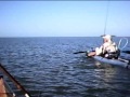Gus is hooked on kayak shark fishing!