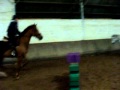 Mathilda et Magic le 7/02 (2)