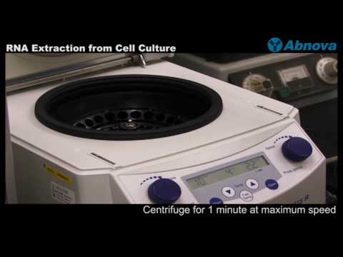 how to isolate mrna from the other types of rna