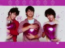 Jonas Love triangle - (Story)- Chapter 13