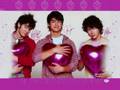 Jonas Love triangle - (Story)- Chapter 13