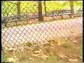 The Great Escape: A film by Bob the Dog