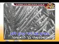 Eyal Golan -Va\ Eyal Golan -Va\