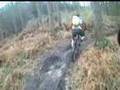 Headcam footage of MTB singletrack @ Bedgebury