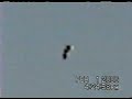 phoenix ufo phoenix ufo