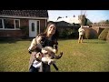 Five News | Blind pets