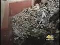 KNBC 4 Piece on Sustainable Dave