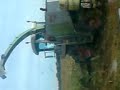 forager at lackham forager at lackham