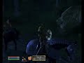 Oblivion - Horseback Riding Oblivion - Horseback Riding