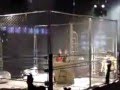 videos de 2008 *B.A.W.W.B.* FACEBOOK WRESTLER OLYMPICS