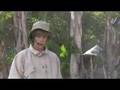Baek Volcano Video