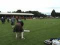 World-Championship-I