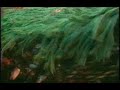 Fisheries on the Brink - oceana.org Fisheries on the Brink - oceana.org