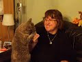 Cats loves Icecream