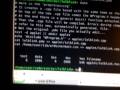 Arduino Diecimila Board Test Run