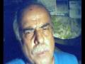 videos de Tigre viejo