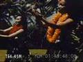 The Hukilau Hula 1960s