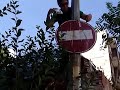 Exociti- Putting Up a Sticker in Cihangir