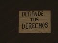 No al colector, si a a vida