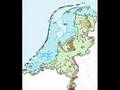 Al Gore Project IVKO no1