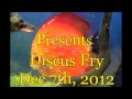 Blue Diamond x Red Marlboro Discus Fry December 7th 2012 