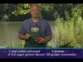 videos de Hallelujah Acres Green Bean Salas
