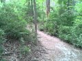 Reed Bingham State Park Trails - YouTube