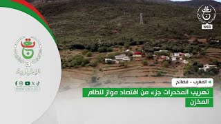 المغرب -  فضائح تهريب المخدرات جزء من اقتصاد مواز لنظام المخزن