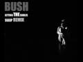 Bush - Letting the cables sleep remix