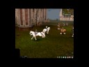 elvenShowJump.avi elvenShowJump.avi