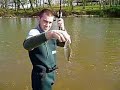 Dan The Shad Man