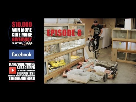 YouTube reptile video