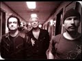 U2 wild honey