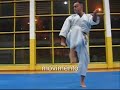 Saifa - Nuno Cardeira (KATA & BUNKAI)