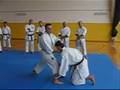 Saifa - Nuno Cardeira (KATA & BUNKAI)