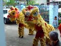 nude-hippo-your-chicago-show-chinese-new-year.html