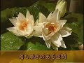 オトナの男