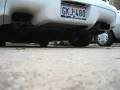 Cold Start Cam Only Trans AM WS6