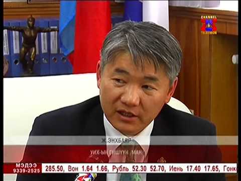 Монгол улс гаднаас 60-80 мянган тонн гурил импортлоно
