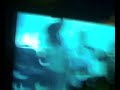 soir�e � l'indigo � collioure