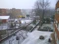 Nieveatope