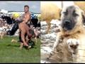Click to View : Sen de Diyeceğsen ben de Herifem