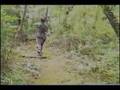 Blackfeather archery 3D shoot part 4