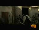 Velvet Revolver - She Builds Quick Machines